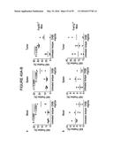 HUMANIZED ANTI-OX40 ANTIBODIES AND USES THEREOF diagram and image