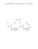 HUMANIZED ANTI-OX40 ANTIBODIES AND USES THEREOF diagram and image