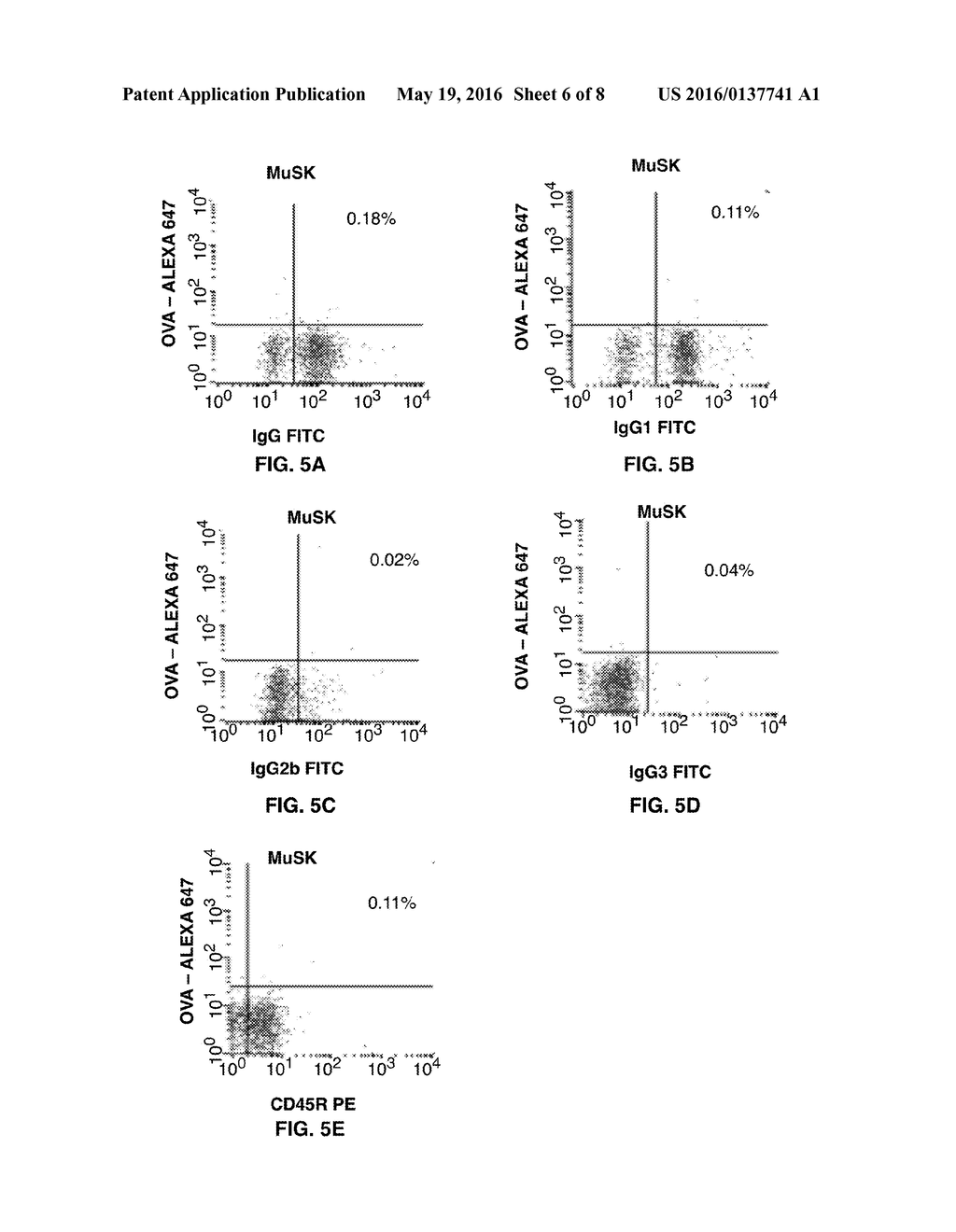 Muscle Specific Tyrosine Kinase-Fluorophore Conjugate Compositions, Kits     and Methods of Using - diagram, schematic, and image 07