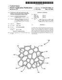 NANOCELLULAR AND NANOCELLULAR PARTICLE FILLED POLYMER COMPOSITE COATING     FOR EROSION PROTECTION diagram and image