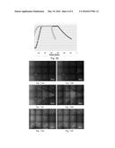 A Microfluidic Device with a Diffusion Barrier diagram and image