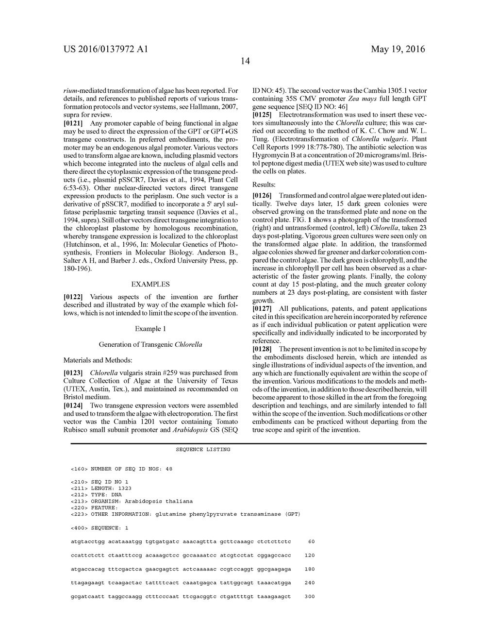 TRANSGENIC ALGAE ENGINEERED FOR HIGHER PERFORMANCE - diagram, schematic, and image 16