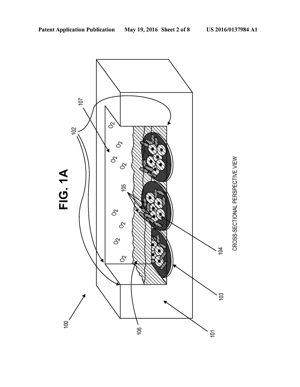 COMPOSITIONS AND METHODS OF FUNCTIONALLY ENHANCED IN VITRO CELL CULTURE     SYSTEM - diagram, schematic, and image 03