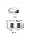 COMPOSITIONS AND METHODS OF FUNCTIONALLY ENHANCED IN VITRO CELL CULTURE     SYSTEM diagram and image