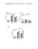 EX VIVO HUMAN MULTIPLE MYELOMA CANCER NICHE AND ITS USE AS A MODEL FOR     PERSONALIZED TREATMENT OF MULTIPLE MYELOMA diagram and image