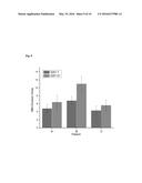 EX VIVO HUMAN MULTIPLE MYELOMA CANCER NICHE AND ITS USE AS A MODEL FOR     PERSONALIZED TREATMENT OF MULTIPLE MYELOMA diagram and image