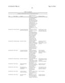 EX VIVO HUMAN MULTIPLE MYELOMA CANCER NICHE AND ITS USE AS A MODEL FOR     PERSONALIZED TREATMENT OF MULTIPLE MYELOMA diagram and image