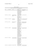 EX VIVO HUMAN MULTIPLE MYELOMA CANCER NICHE AND ITS USE AS A MODEL FOR     PERSONALIZED TREATMENT OF MULTIPLE MYELOMA diagram and image