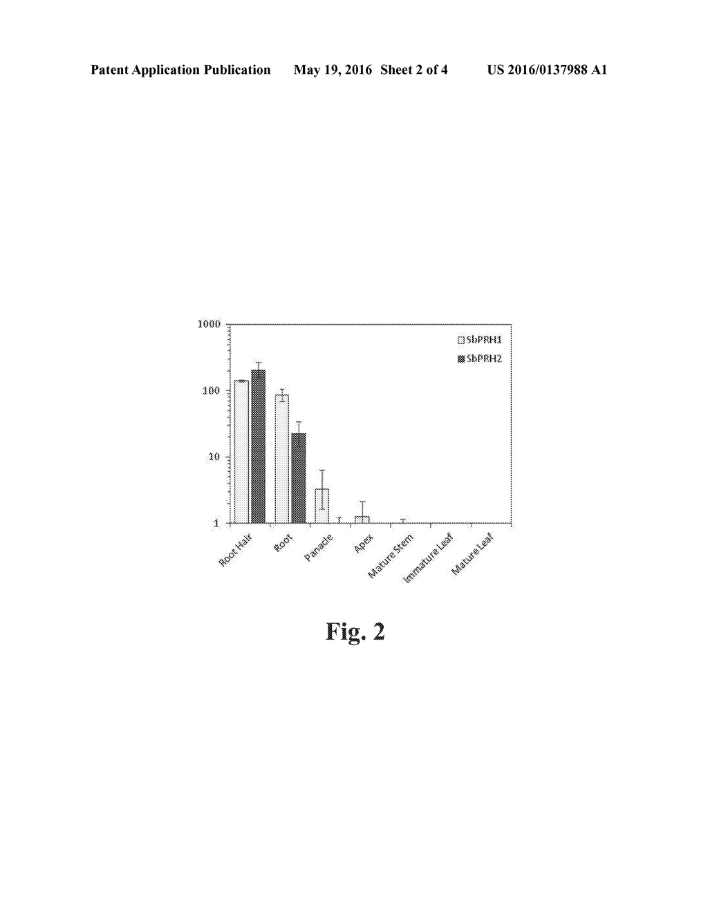 NOVEL CYTOCHROME P450 ENZYMES FROM SORGHUM BICOLOR - diagram, schematic, and image 03