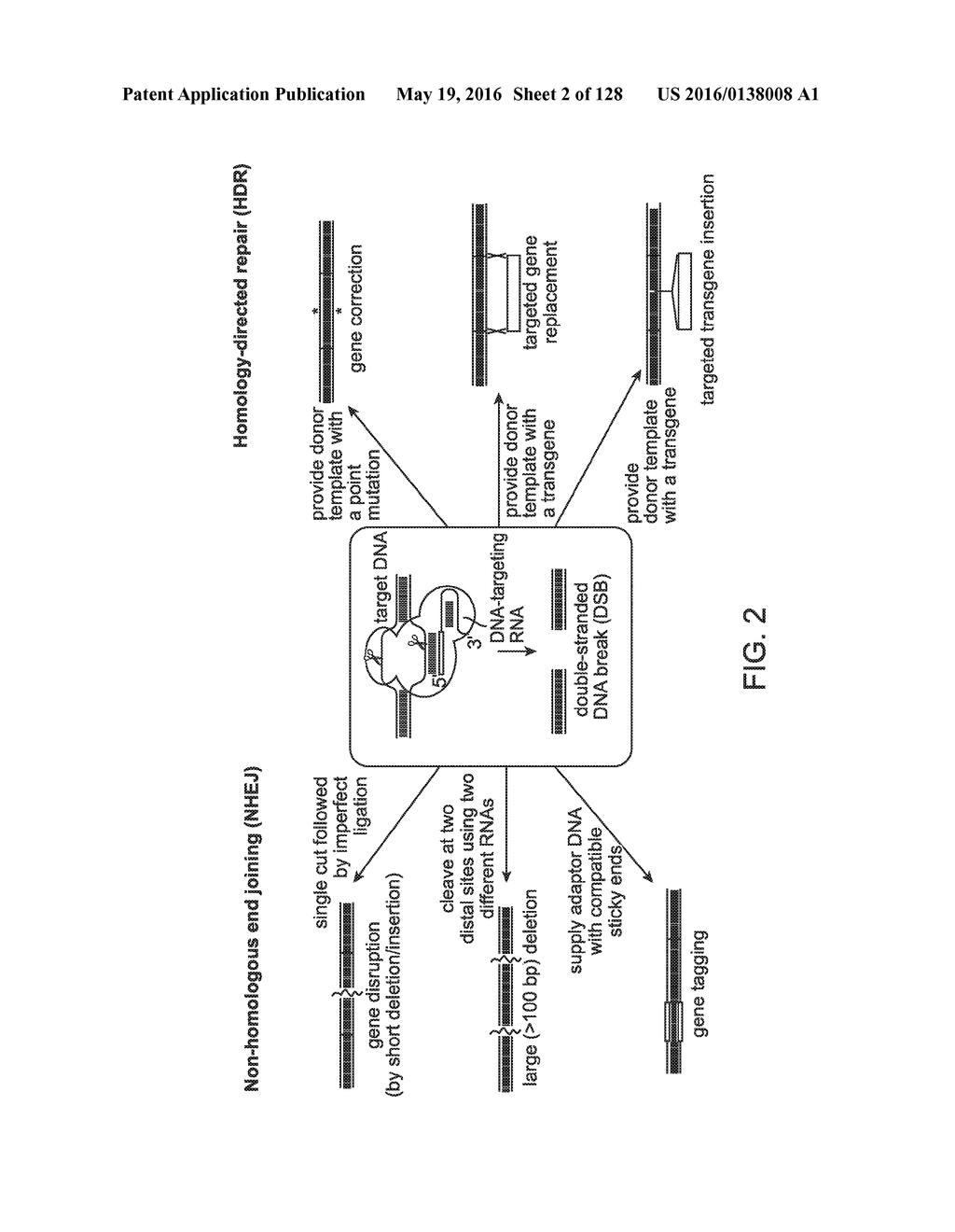 METHODS AND COMPOSITIONS FOR RNA-DIRECTED TARGET DNA MODIFICATION AND FOR     RNA-DIRECTED MODULATION OF TRANSCRIPTION - diagram, schematic, and image 03