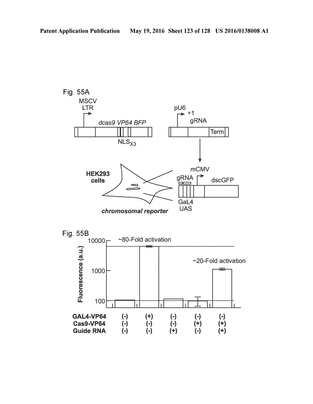 METHODS AND COMPOSITIONS FOR RNA-DIRECTED TARGET DNA MODIFICATION AND FOR     RNA-DIRECTED MODULATION OF TRANSCRIPTION - diagram, schematic, and image 124