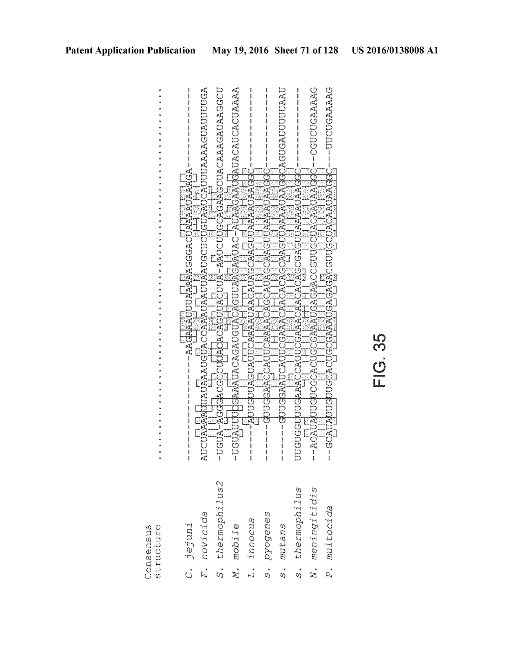 METHODS AND COMPOSITIONS FOR RNA-DIRECTED TARGET DNA MODIFICATION AND FOR     RNA-DIRECTED MODULATION OF TRANSCRIPTION - diagram, schematic, and image 72