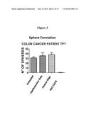 ANTISENSE OLIGONUCLTEOTIDES FOR TREATMENT OF CANCER STEM CELLS diagram and image