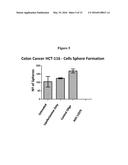 ANTISENSE OLIGONUCLTEOTIDES FOR TREATMENT OF CANCER STEM CELLS diagram and image