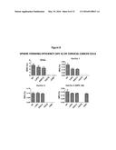 ANTISENSE OLIGONUCLTEOTIDES FOR TREATMENT OF CANCER STEM CELLS diagram and image