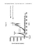 ANTISENSE OLIGONUCLTEOTIDES FOR TREATMENT OF CANCER STEM CELLS diagram and image