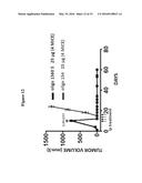 ANTISENSE OLIGONUCLTEOTIDES FOR TREATMENT OF CANCER STEM CELLS diagram and image