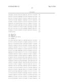 ANTISENSE OLIGONUCLTEOTIDES FOR TREATMENT OF CANCER STEM CELLS diagram and image