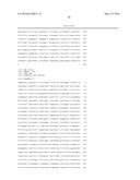 ANTISENSE OLIGONUCLTEOTIDES FOR TREATMENT OF CANCER STEM CELLS diagram and image