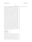 ANTISENSE OLIGONUCLTEOTIDES FOR TREATMENT OF CANCER STEM CELLS diagram and image