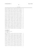 ANTISENSE OLIGONUCLTEOTIDES FOR TREATMENT OF CANCER STEM CELLS diagram and image