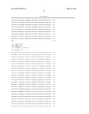 ANTISENSE OLIGONUCLTEOTIDES FOR TREATMENT OF CANCER STEM CELLS diagram and image