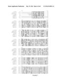 Novel Genes Involved In Biosynthesis diagram and image