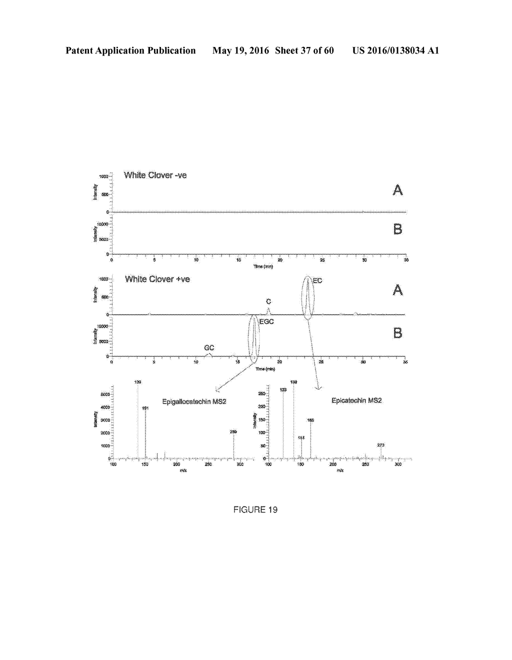 Novel Genes Involved In Biosynthesis - diagram, schematic, and image 38