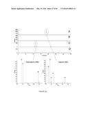 Novel Genes Involved In Biosynthesis diagram and image