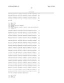 CONSOLIDATED PRETREATMENT AND HYDROLYSIS OF PLANT BIOMASS EXPRESSING CELL     WALL DEGRADING ENZYMES diagram and image