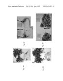 METHODS OF INCREASING ABIOTIC STRESS TOLERANCE AND/OR BIOMASS IN PLANTS diagram and image