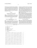 BRASSICA ENGINEERED TO CONFER HERBICIDE TOLERANCE diagram and image