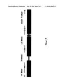 Wheat Stem Rust Resistance Gene diagram and image