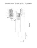 Wheat Stem Rust Resistance Gene diagram and image