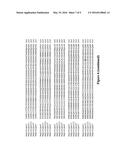 Wheat Stem Rust Resistance Gene diagram and image