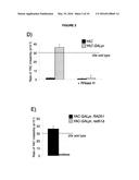 METHODS AND COMPOSITIONS FOR TARGET DNA MODIFICATION diagram and image