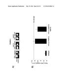 METHODS AND COMPOSITIONS FOR TARGET DNA MODIFICATION diagram and image