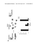 METHODS AND COMPOSITIONS FOR TARGET DNA MODIFICATION diagram and image