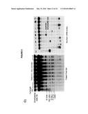 METHODS AND COMPOSITIONS FOR TARGET DNA MODIFICATION diagram and image