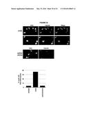 METHODS AND COMPOSITIONS FOR TARGET DNA MODIFICATION diagram and image