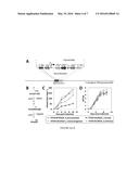 OXYGEN-TOLERANT CoA-ACETYLATING ALDEHYDE DEHYDROGENASE CONTAINING PATHWAY     FOR BIOFUEL PRODUCTION diagram and image