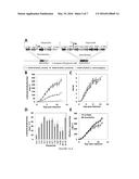 OXYGEN-TOLERANT CoA-ACETYLATING ALDEHYDE DEHYDROGENASE CONTAINING PATHWAY     FOR BIOFUEL PRODUCTION diagram and image