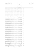 OXYGEN-TOLERANT CoA-ACETYLATING ALDEHYDE DEHYDROGENASE CONTAINING PATHWAY     FOR BIOFUEL PRODUCTION diagram and image