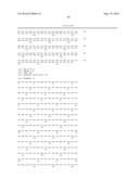 OXYGEN-TOLERANT CoA-ACETYLATING ALDEHYDE DEHYDROGENASE CONTAINING PATHWAY     FOR BIOFUEL PRODUCTION diagram and image