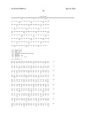 OXYGEN-TOLERANT CoA-ACETYLATING ALDEHYDE DEHYDROGENASE CONTAINING PATHWAY     FOR BIOFUEL PRODUCTION diagram and image