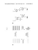 METHDS AND COMPOSITIONS FOR REPLICATION OF THREOSE NUCLEIC ACIDS diagram and image