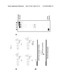 METHDS AND COMPOSITIONS FOR REPLICATION OF THREOSE NUCLEIC ACIDS diagram and image