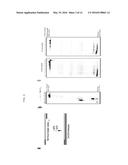 METHDS AND COMPOSITIONS FOR REPLICATION OF THREOSE NUCLEIC ACIDS diagram and image