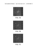 RAPID CELL PURIFICATION SYSTEMS diagram and image