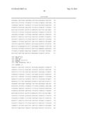 GLYCATED HEXAPEPTIDE OXIDASE AND USE THEREOF diagram and image